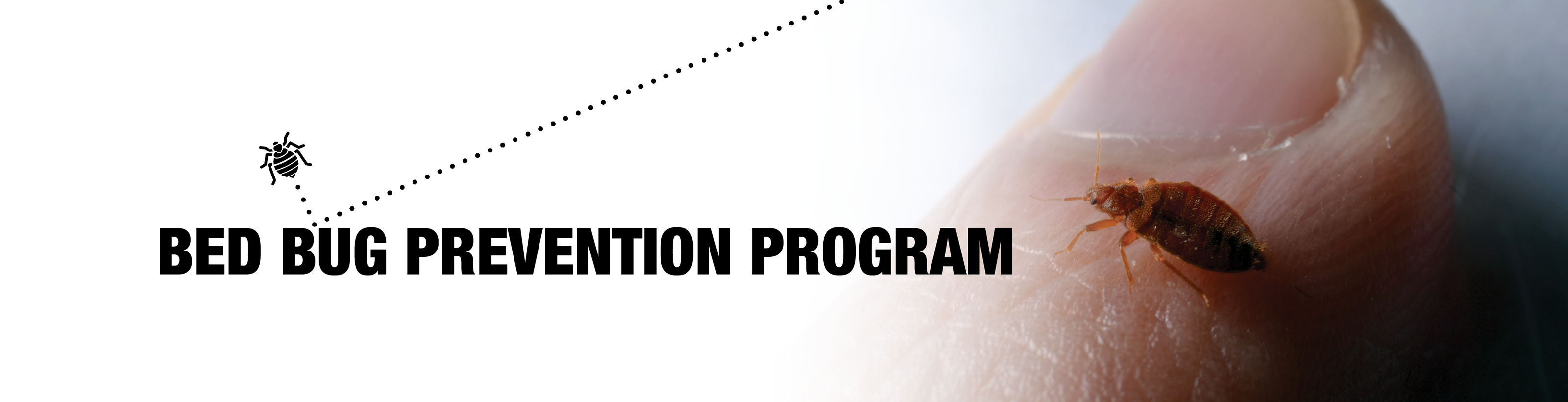 Bed Bug Prevention Program header with an image of a bed bug